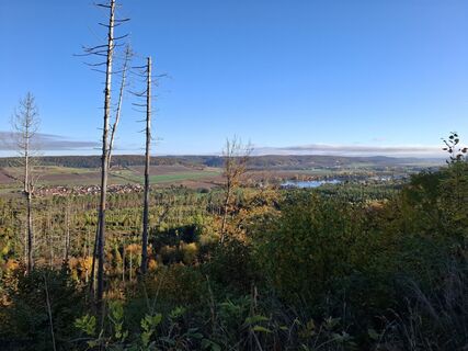 Foto von Wollomator entlang der Tour