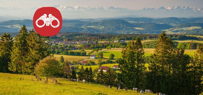 Rickenbach