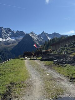 Fotografie z Filäp na trase