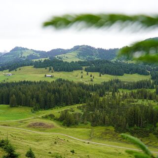 Blick auf das Alpgebiet im Bereich Imberg und Hörmoos