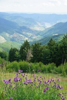 Aussicht Panormawiese