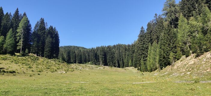 Photo de Andrea Flechl le long du parcours