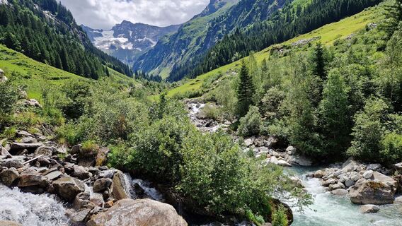 Foto från Gerrit van der Linde under resans gång