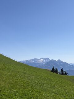 Fotografia z Heinz Sperl na trase