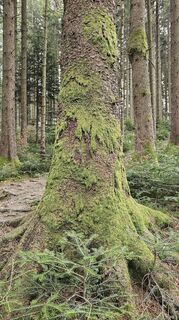 Fotografija s spletne strani Marlyse Leu na poti