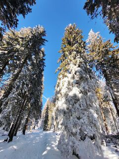 Foto de v.stein a lo largo del recorrido