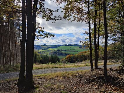 Fotografie de la DevilsBastard de-a lungul turului