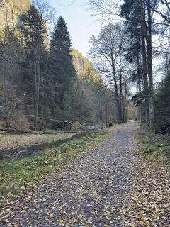 Fotografia z Steffen Kiesel na trase