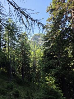 Fotografia z Florian Dürnegger na trase