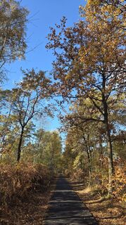 Foto de Evgeny Shirkin a lo largo del recorrido