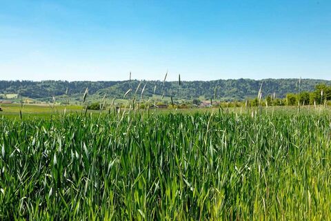 Symbolbild Feld am Gaildorfer Kirchberg