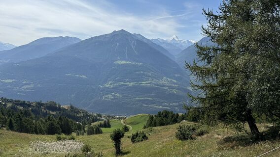 Photo de peter_oe le long du parcours
