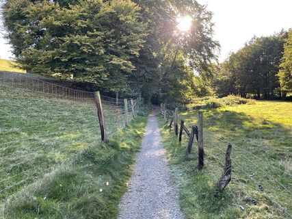 Fotografia z Thorsten Schulze na trase