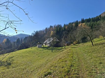 Fotografia z Gregor Usen na trase