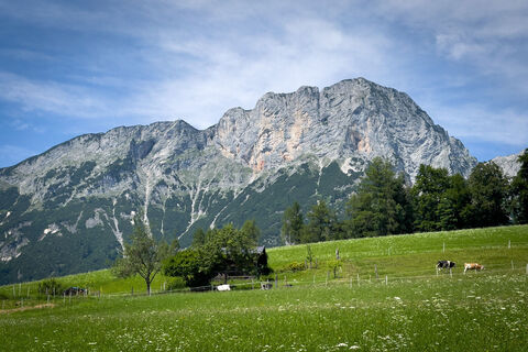 Foto von Kurt entlang der Tour