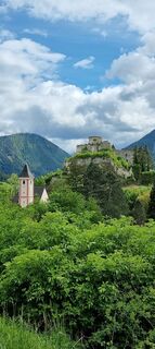 Fotografia z Helmut Neuhold na trase