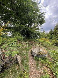 Fotografie z Olaf Mönig na trase