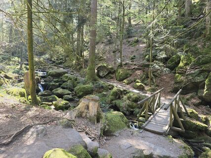 Photo de Michel Kennel le long du parcours