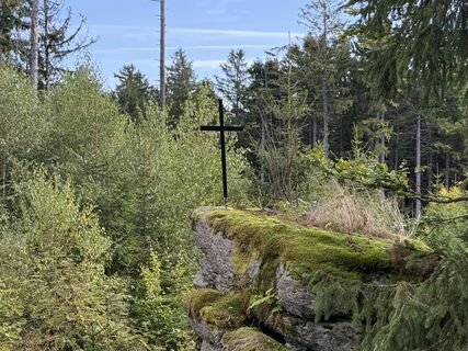 Fotografia z Wilson Holz na trase