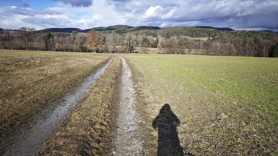 Foto de prager64 a lo largo del recorrido