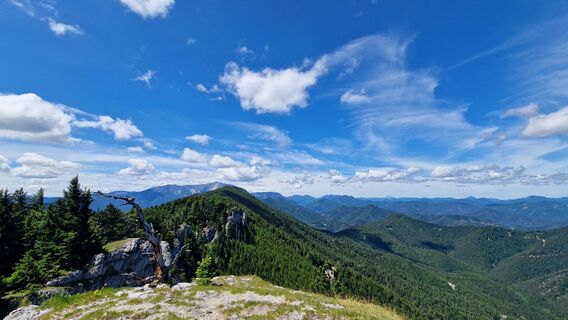 Fotografija s spletne strani EP87 na poti