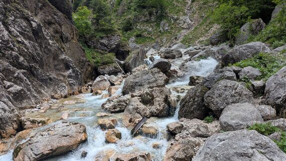 Fotografia z mukti na trase