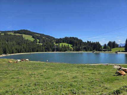Foto von Domenic Beyrowski entlang der Tour