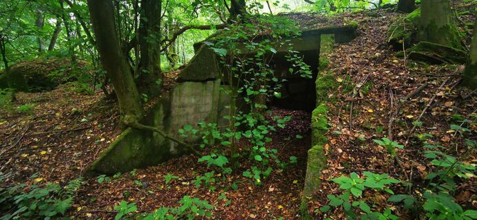 Foto von Klaus Lehner entlang der Tour