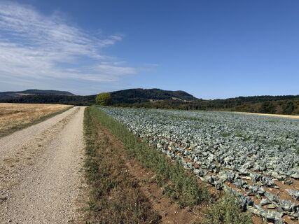 Foto von Astrid entlang der Tour