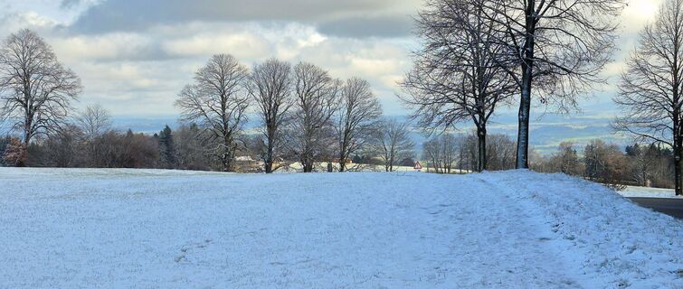 Фото с сайта Thomas Schekira во время экскурсии
