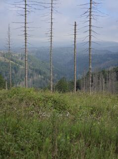 Foto von Lu. na entlang der Tour