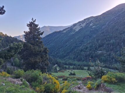 Foto de Magma a lo largo del recorrido