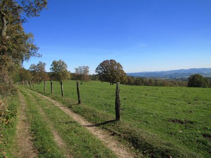 Aussicht bei Windhausen im Herbst