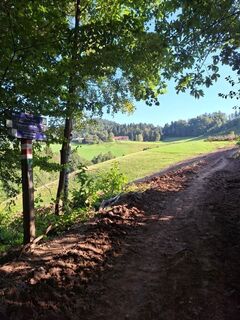 Aussicht Waucher