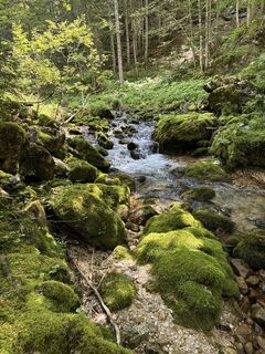 Foto von Robert Nowotny entlang der Tour