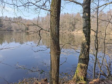 Zdjęcie z nordbergschnecke wzdłuż trasy