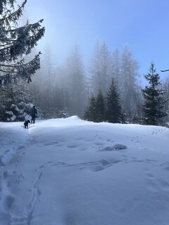 Foto von PaulipaulsensAbenteuer entlang der Tour