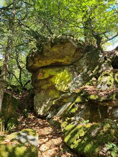 Photo de Bergkater le long du parcours