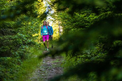 Waldweg zum Hutwisch