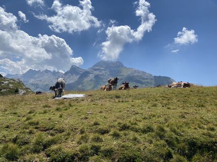 Foto von Annalena Dietrich entlang der Tour