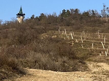 Foto von Anton Sacher entlang der Tour