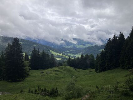 Fotografie z wienand na trase