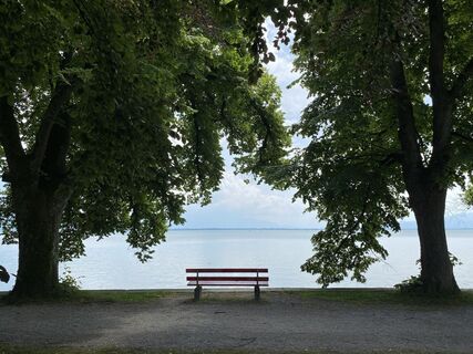 Fotó a Cord Schill honlapról a túra során