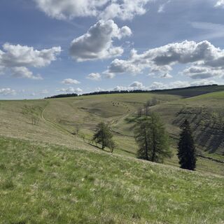 Photo de Steffen Kiesel le long du parcours