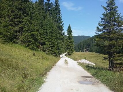 Zum Walserursprung