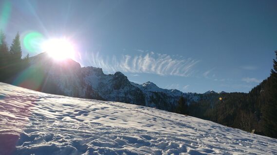 Fotografija s spletne strani oscarpette82 na poti