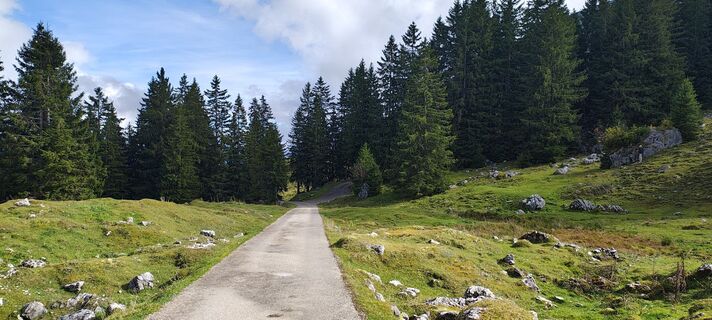 Foto von Tanya Mayer entlang der Tour
