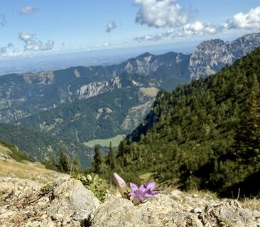 Fotografija s spletne strani Natur_erleben_dg na poti