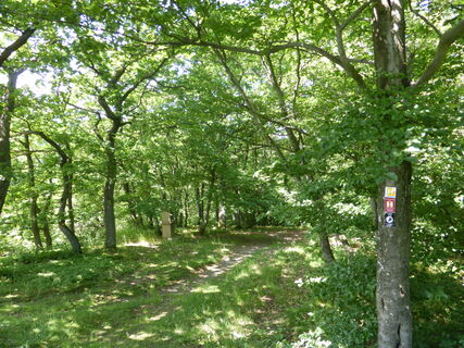 Unterwegs auf dem Medebacher Bergweg