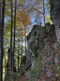 Photo de brosensteiner le long du parcours